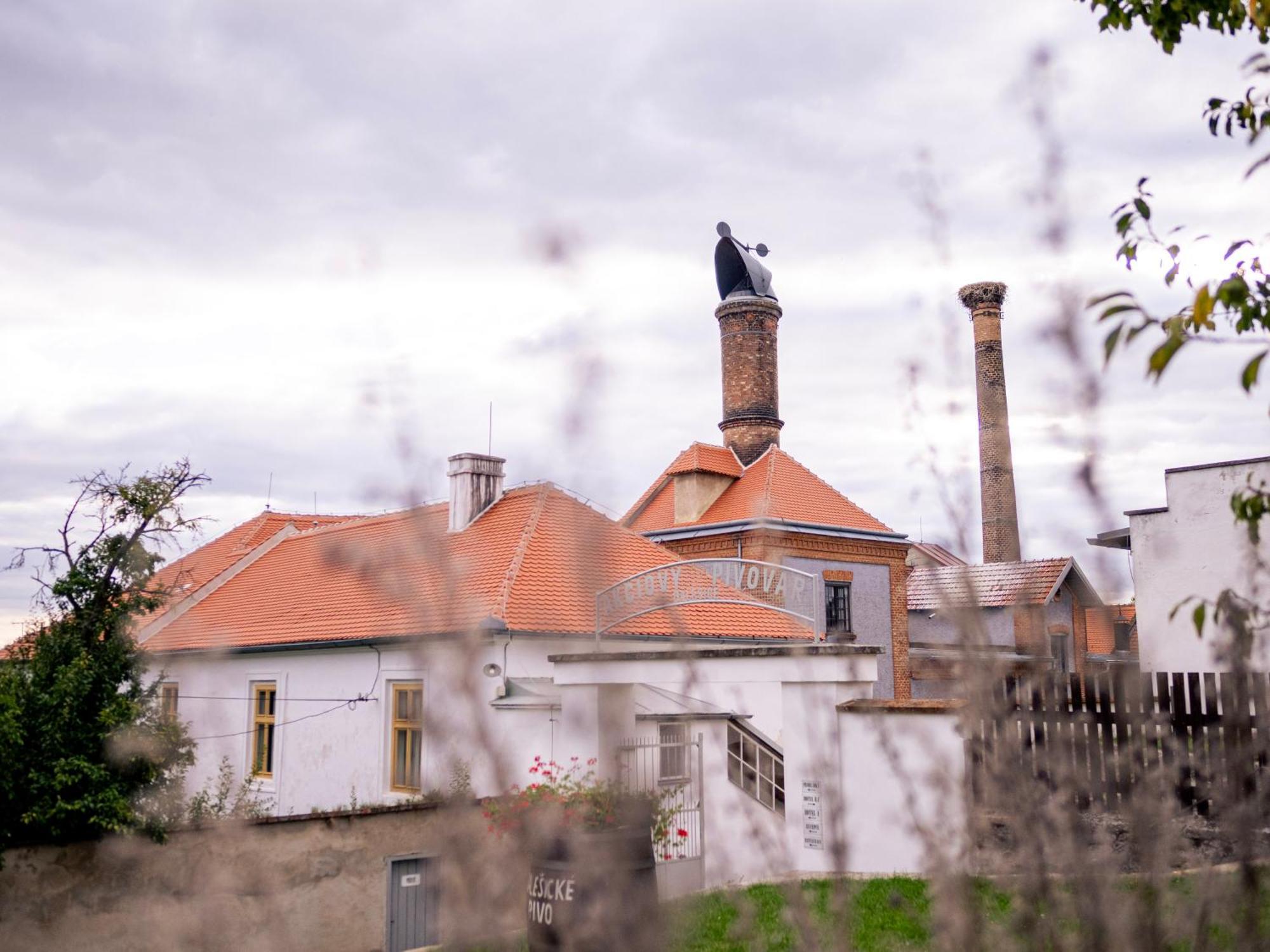 Pivovarský hotel Dalesice Exteriér fotografie
